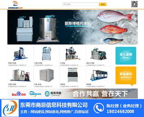 东莞网站优化报价与清溪网页优化策略解析 以商恩为例